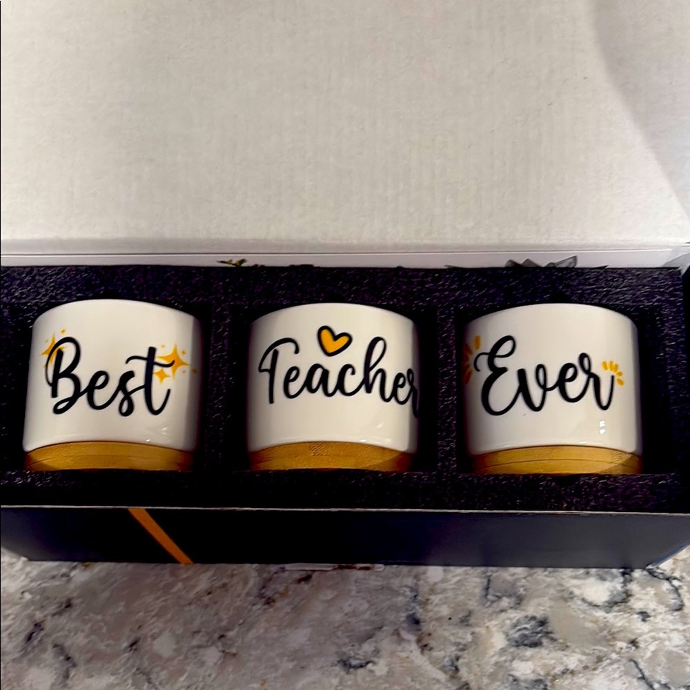 Gold and White 'Best Teacher Ever' Planter Set